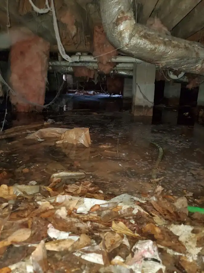 Crawl space flood assessment for Leak Detection & Repair in Lake Wylie